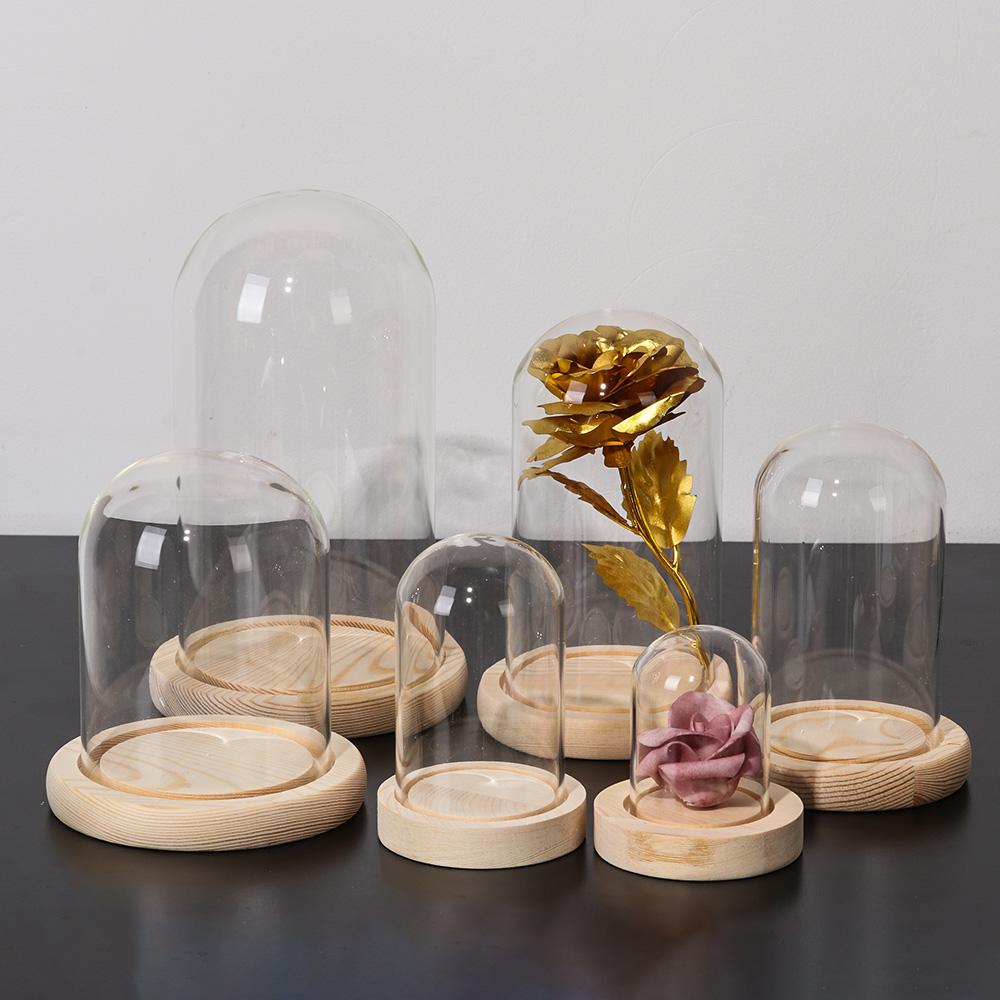 Fairy Lights Home Decor Terrar - Reusable Bottle review and price